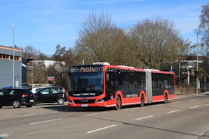 AA-PL 195