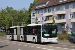 Fahrzeugseite LEO-MC-457