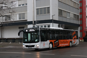 Fahrzeugseite LEO-MC-757-1