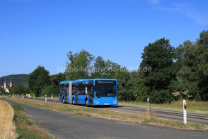 LEO-MM 557