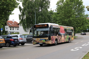 Fahrzeugseite CW-LL-1361