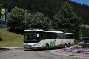 Fahrzeugseite CW-V-105