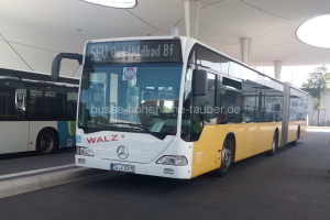 CW-W 3015