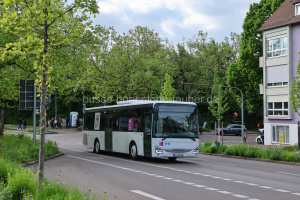 ES-WN 246