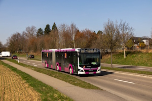 FDS-OK 26