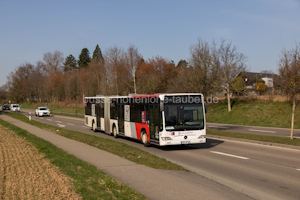 FDS-OK 521