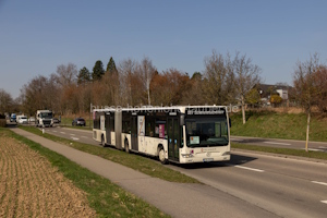 FDS-OK 525