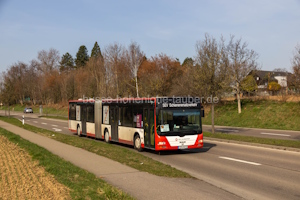 FDS-OK 93
