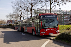 FDS-OK 95