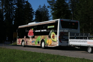 Fahrzeugseite FDS-W-3013