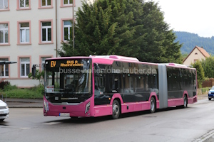 FR-BW 316