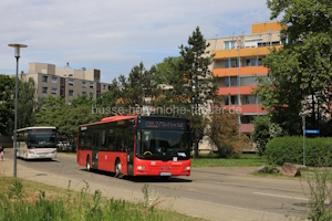 Fahrzeugseite FR-JS-221