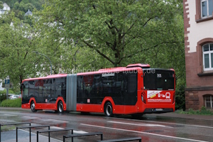 Fahrzeugseite FR-JS-430