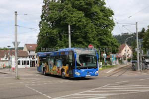 Fahrzeugseite FR-SW-875