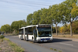 Fahrzeugseite FR-H-6902