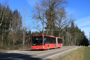 GP-OB 2506