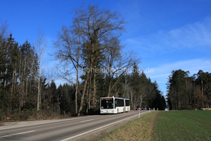 GP-OB 2601