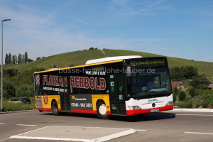 Fahrzeugseite HN-AP-1204