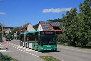 ÖHR-UH 113