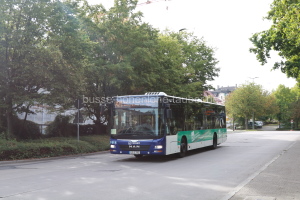 Fahrzeugseite LB-E-795