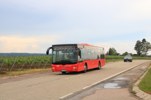 Fahrzeugseite S-RS-2203