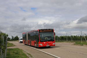 Fahrzeugseite S-RS-2512