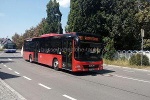 S-RS 2619