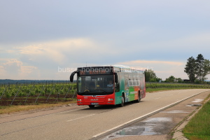 Fahrzeugseite S-RS-2701