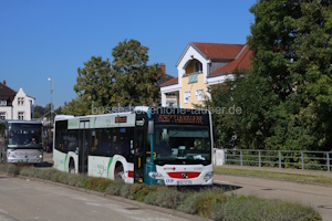 SHA-XV 135