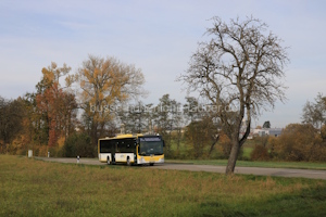 Fahrzeugseite SHA-XV-159