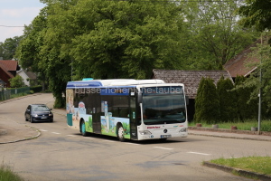 Fahrzeugseite SHA-BC-287