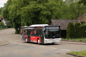 Fahrzeugseite SHA-BC-294