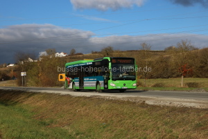 TBB-LN 31