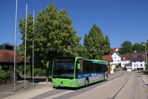 TBB-LN 31