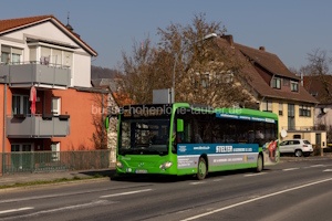 TBB-LN 31