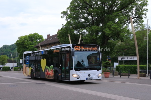 Fahrzeugseite WN-OV-3117