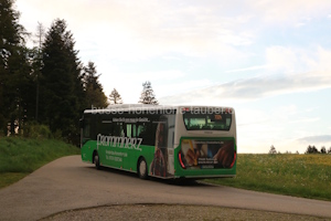 Fahrzeugseite WT-PD-227