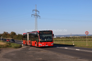 AB-VU 13