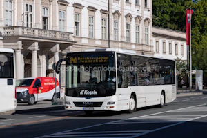 BGL-LK 903