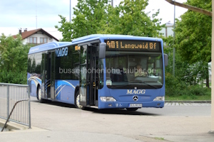 DLG-MO 202