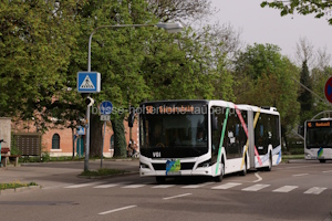 Fahrzeugseite IN-VG-2108