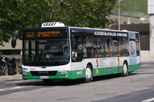 Fahrzeugseite MSP-LY-196