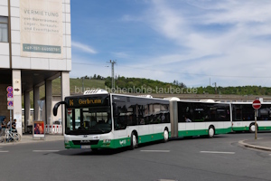MSP-LY 197