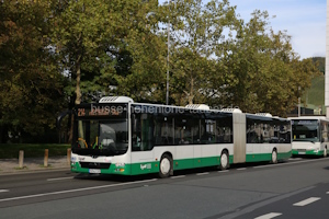 Fahrzeugseite MSP-LY-289