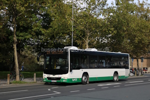 Fahrzeugseite MSP-LY-329