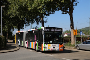 Fahrzeugseite MSP-LY-394