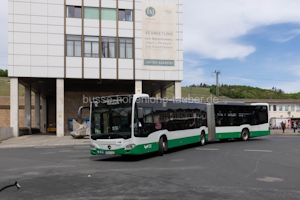 MSP-LY 427