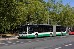 Fahrzeugseite MSP-LY-429