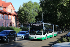Fahrzeugseite MSP-LY-430