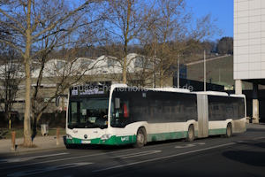 MSP-LY 431
